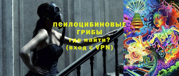ПСИЛОЦИБИНОВЫЕ ГРИБЫ Алексин
