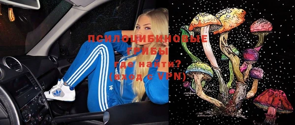 ПСИЛОЦИБИНОВЫЕ ГРИБЫ Алексин