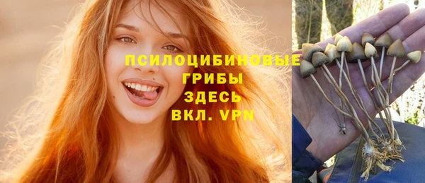 Альфа ПВП Алзамай