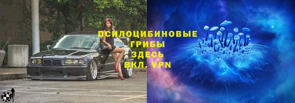 Альфа ПВП Алзамай