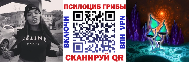 Псилоцибиновые грибы Cubensis  Шуя 
